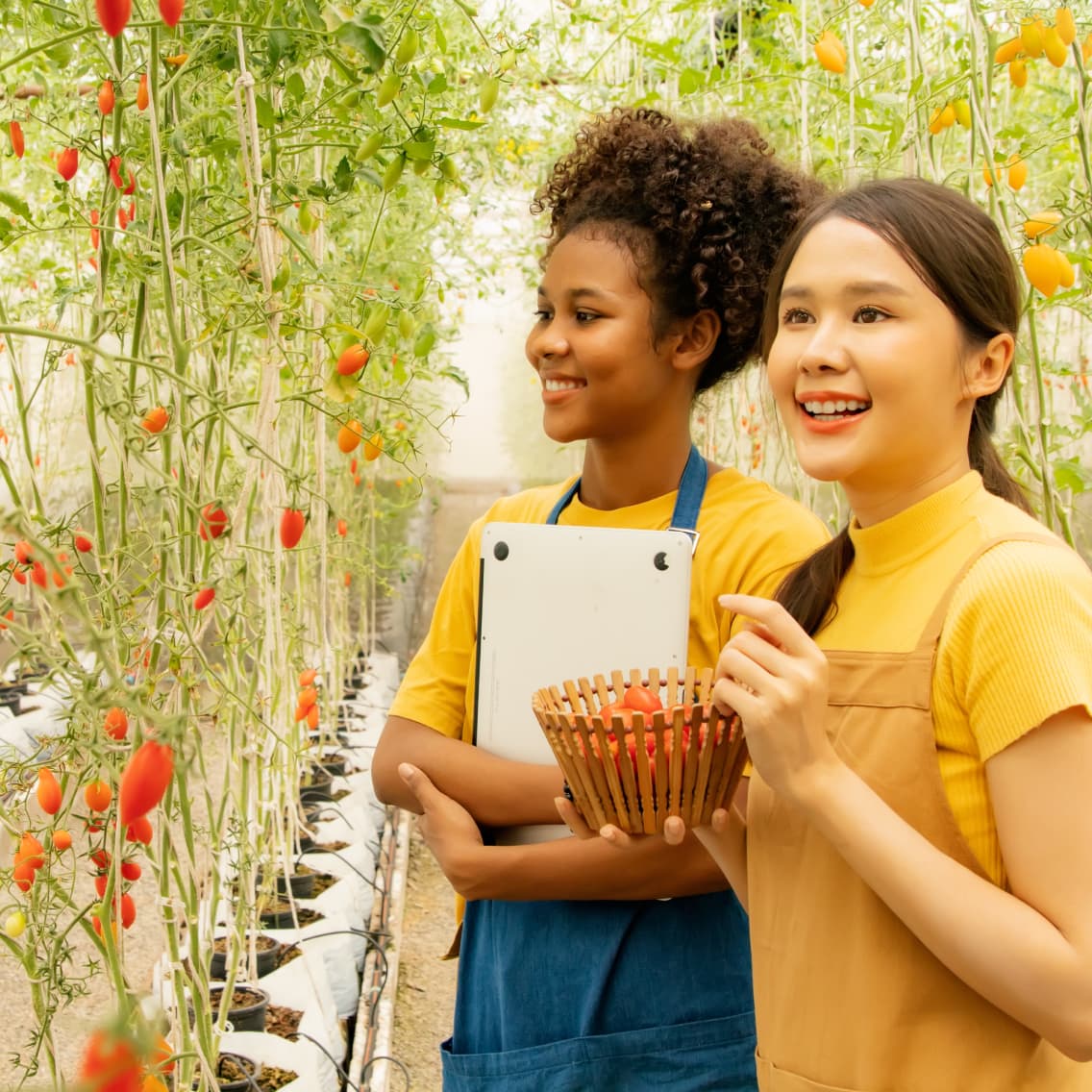 Agribusiness Career Pathway image 1 (name Agribusiness)