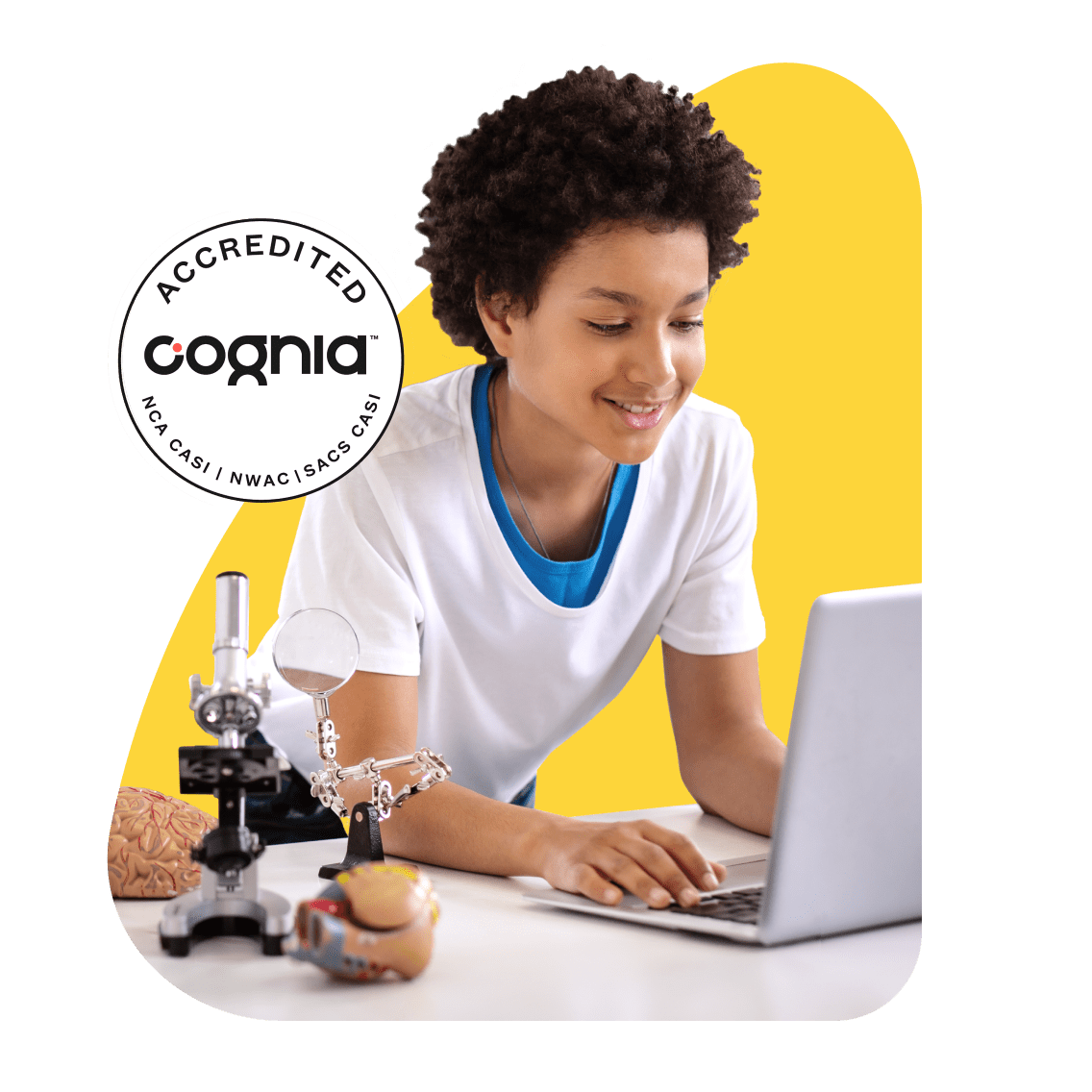 A young boy focused on a laptop displaying the word "Cognia," immersed in his digital task.