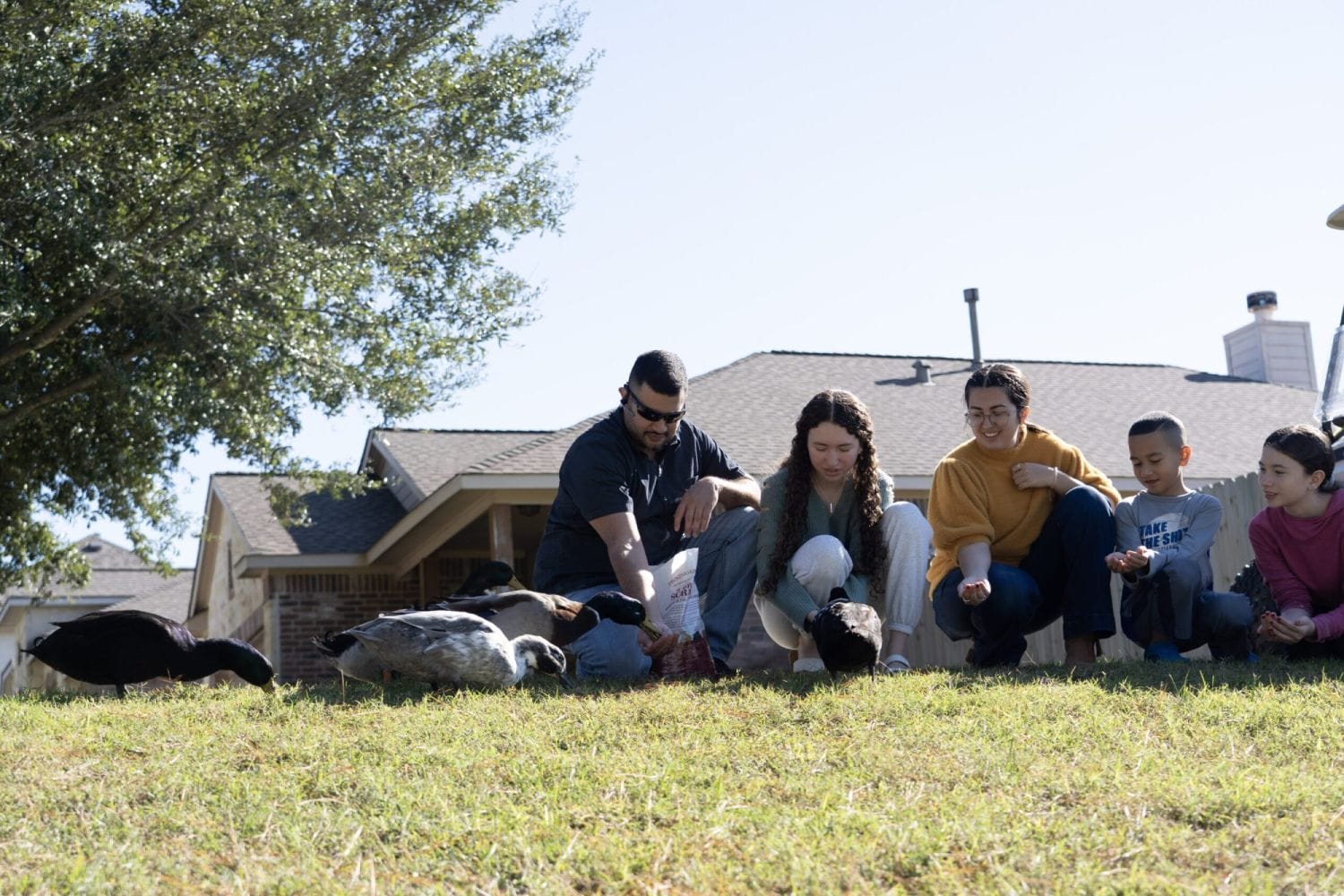 A family sits on grass by ducks, feeding them and enjoying a sunny day near a house. The scene feels relaxed and joyful, with a large tree providing shade.