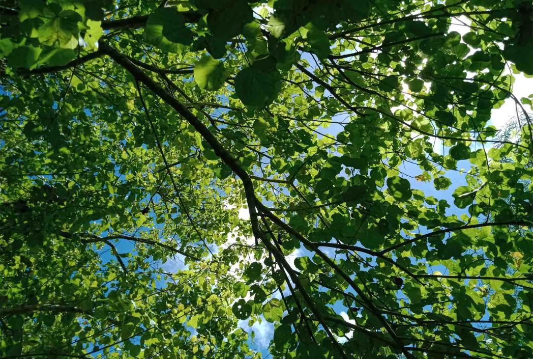 What Online School Looks Like: A Student Day in the Life Q&A With Sophia