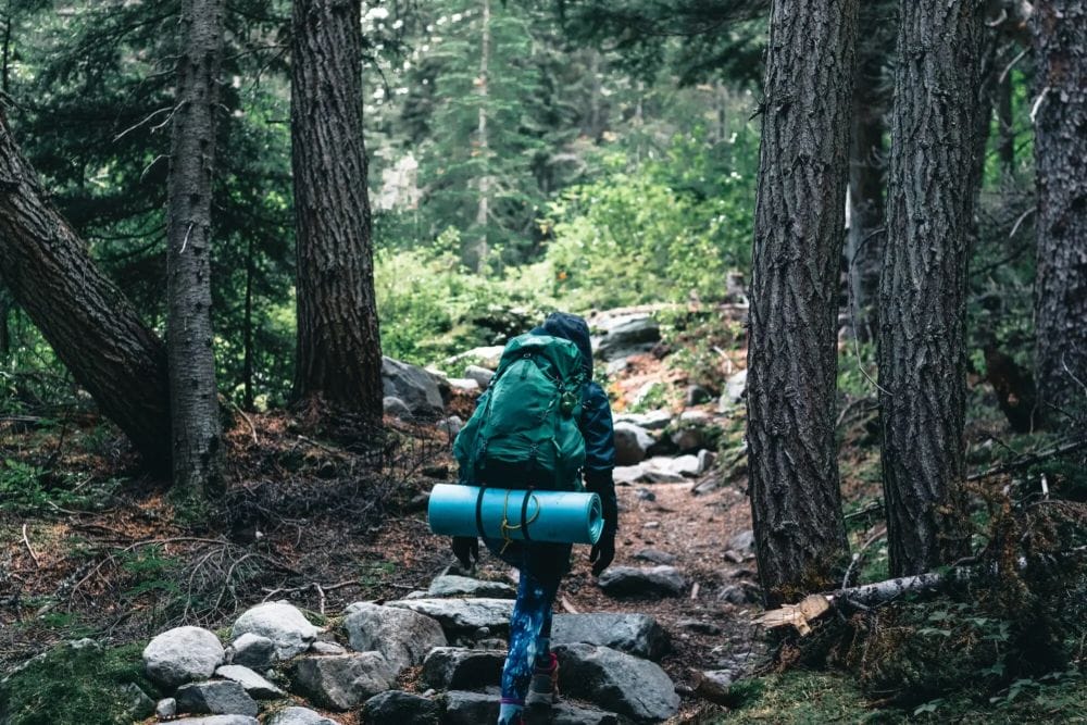 A hiker with a large backpack and a blue sleeping mat walks up a rocky forest trail surrounded by tall trees, conveying a sense of adventure.